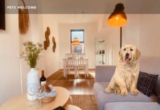Spacious 2Bed - 10 Mins to City - Free parking - Belfast - 8