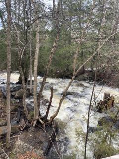 Chalet Route 125 Rawdon 2 Bedroom Apt - 8
