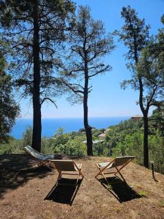 Villa prestige avec piscine - dans les hauteurs de Bastia - Bastia - 1