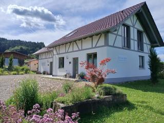 Binzighof Ferienhäuser - Oberkirch - 9