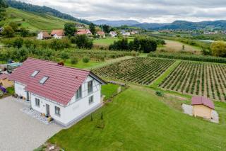 Binzighof Ferienhäuser - Oberkirch - 2