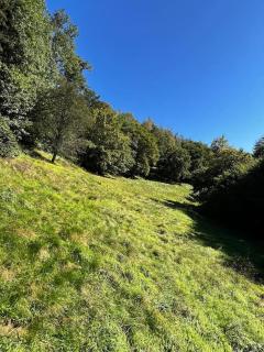 Woods-hottub & AC - 8