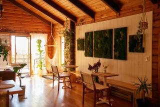 Sowilo All-inclusive Resort - Greenwich - 8