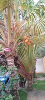 WISE HOTEL & apartment - Mtwapa - 3