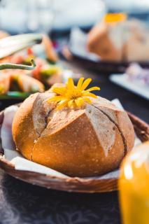 Le Palmier de la Paix - 1