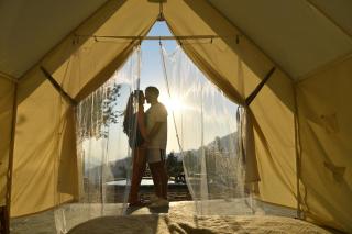 lily of the valley - 2