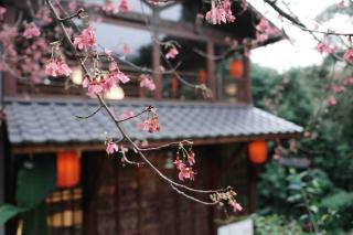 響水客棧 苗栗8-12人包棟 烤肉 特色老屋 - 9