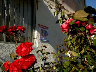 Hostal Limonares - 6