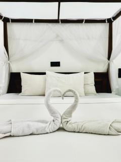 Alovera inn weligama - Weligama - 9