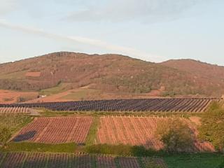 La Roche - au calme face aux vignes - - 8