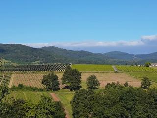 La Roche - au calme face aux vignes - - 1