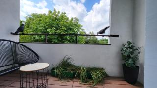 Exclusive Loft Kadzielnia - Kielce - 6