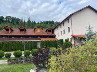 Pensiunea Cosău - 5