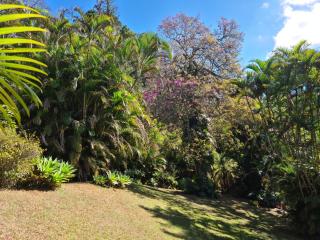 Carangola Guesthouse - Petrópolis - 9