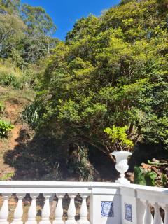 Carangola Guesthouse - Petrópolis - 7