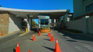 Earthy and Organic - 9