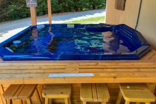 Lucky Clover Cabin - Blairsville - 9