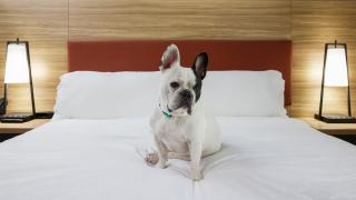 Candlewood Suites Junction City - Ft. Riley by IHG - Junction City - 8