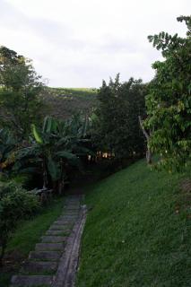 Finca Casa Antigua - Armenia - 3