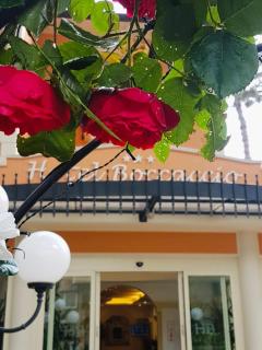 Hotel Boccaccio-free parking- - Milano Marittima - 6