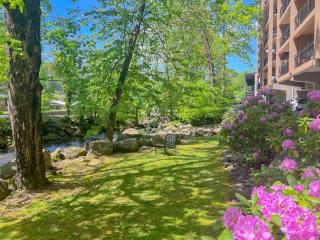 Luxurious Condo, Pool, Fireplace, Hiking - Gatlinburg - 8