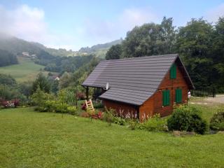 Domek za lasem - Laskowa - 4