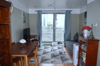 Entire Apartment next to Canary Wharf in London - Londra - 7