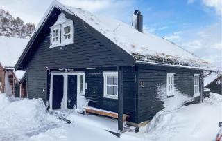 3 Bedroom Beautiful Home In Åseral - Åseral - 2