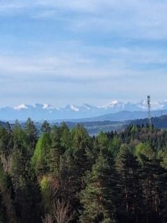 Urokliwy drewniany dom z widokiem na Tatry - Tokarnia - 7