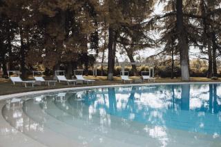 Villa delle Querce Resort - Palo del Colle - 7