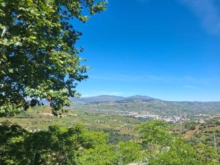 Quinta do Valdalágea - Peso da Régua - 6