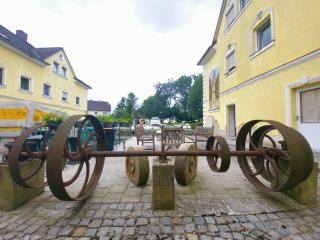 Apartments in Grüner Umgebung - - 9