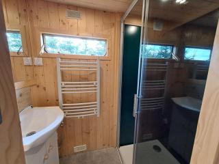 bieszczadzki holender - 2