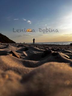 Apartament Leniwa Dębina - 3