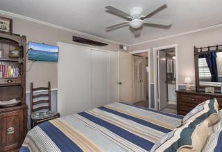 Colony Beach Club 138- Ground Level Oceanfront - Edgewater - 2