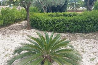 Dolce Villa - 3