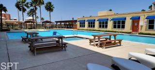 Gulfview I #205 home - South Padre Island - 0
