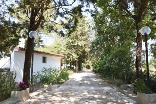 B&B Parco del Lamione - Gioia del Colle - 9
