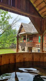 Pajisti Verzi / Green Meadows Guest House - Vişeu de Sus - 8