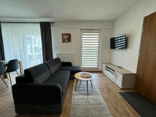 Vip Apartament Wieniawskiego - 3