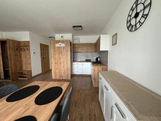 Vip Apartament Wieniawskiego - Rzeszów - 1