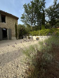 Les Feuilleres - LʼIsle-sur-la-Sorgue - 3