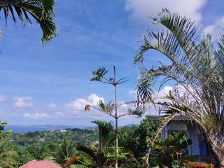 Le pain de sucre - 1