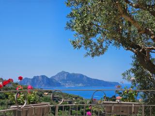 Villa Luci di Capri - 0