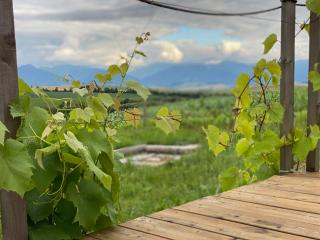 Bird's Nest Hideaway TINYHOUSES - 2