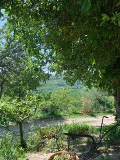 Agriturismo Cascina Anrì - 3