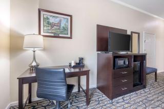 Best Western Spring Hill Inn & Suites - 1