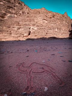 HOOR RUM lUXURY CAMP - Wadi Rum - 1