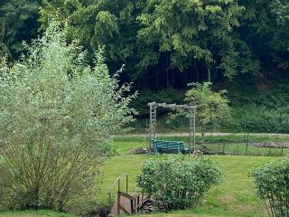 Maison confortable à Muhlbach-sur-Bruche, terrain de 6000 m². - Muhlbach-sur-Bruche - 5