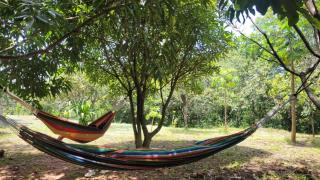 Ecolodge La Corocora - Monterrey - 3